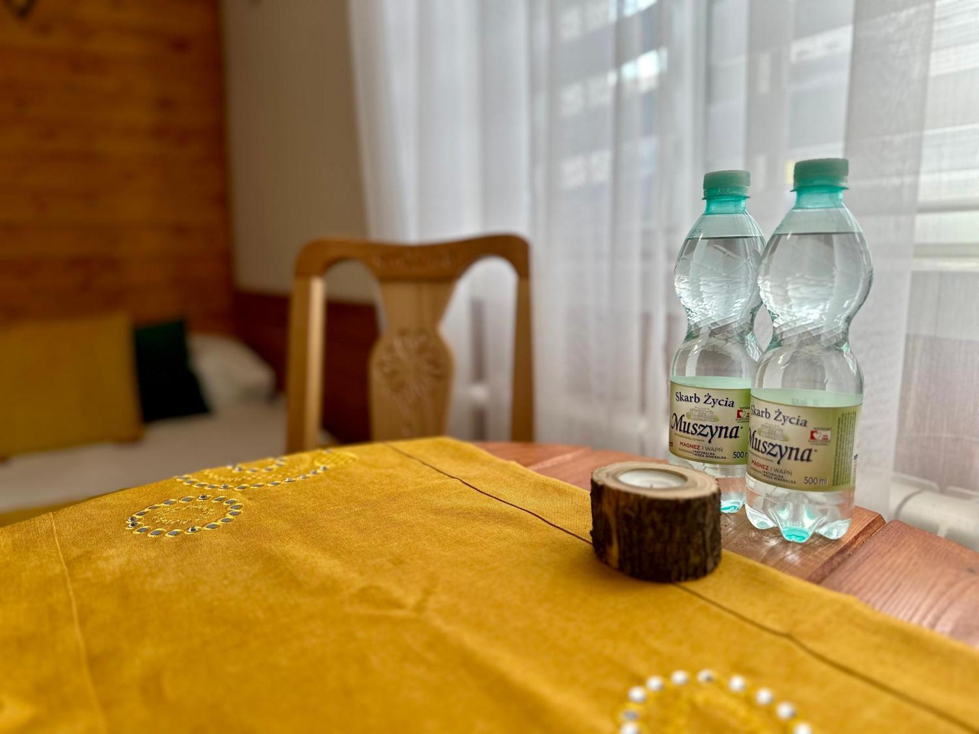 Ferienwohnung Gorska Ostoja Muszyna Exterior foto